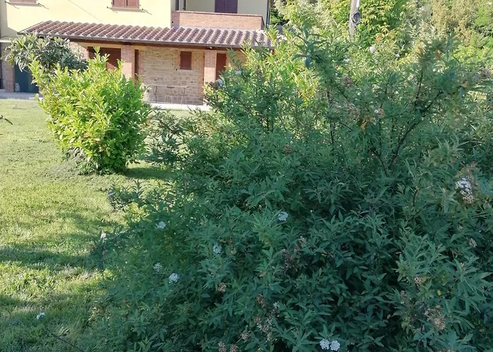 Il Boschetto Da Michael -quercia Guest house 3*